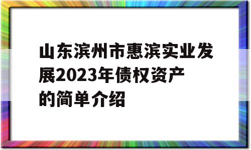 山东滨州市惠滨实业发展2023年债权资产的简单介绍