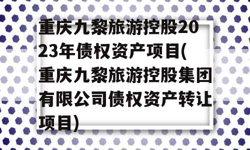 重庆九黎旅游控股2023年债权资产项目(重庆九黎旅游控股集团有限公司债权资产转让项目)