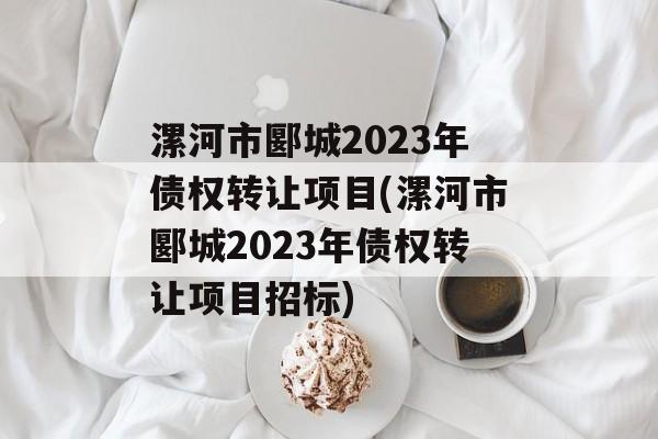 漯河市郾城2023年债权转让项目(漯河市郾城2023年债权转让项目招标)