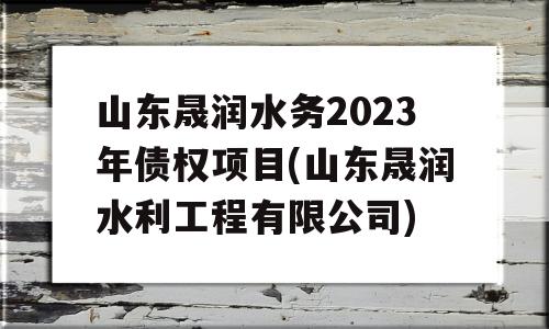 山东晟润水务2023年债权项目(山东晟润水利工程有限公司)