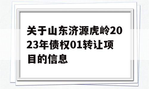 关于山东济源虎岭2023年债权01转让项目的信息