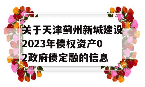 关于天津蓟州新城建设2023年债权资产02政府债定融的信息