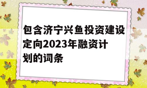 包含济宁兴鱼投资建设定向2023年融资计划的词条