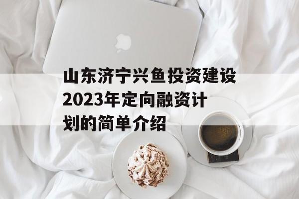 山东济宁兴鱼投资建设2023年定向融资计划的简单介绍