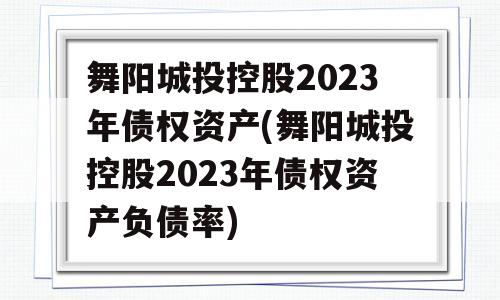 舞阳城投控股2023年债权资产(舞阳城投控股2023年债权资产负债率)