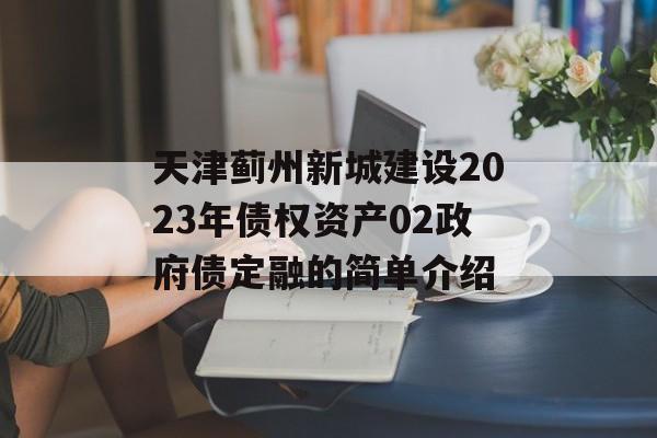 天津蓟州新城建设2023年债权资产02政府债定融的简单介绍