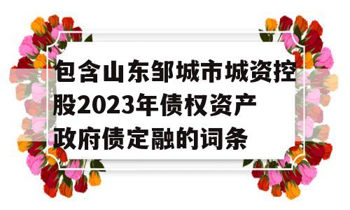 包含山东邹城市城资控股2023年债权资产政府债定融的词条