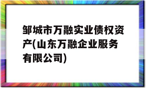 邹城市万融实业债权资产(山东万融企业服务有限公司)