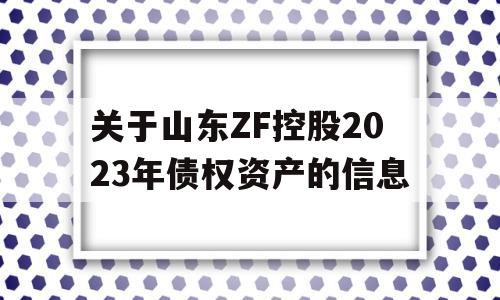 关于山东ZF控股2023年债权资产的信息