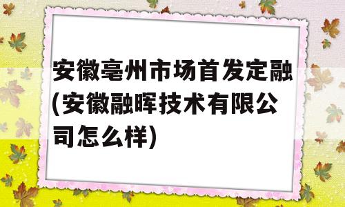 安徽亳州市场首发定融(安徽融晖技术有限公司怎么样)