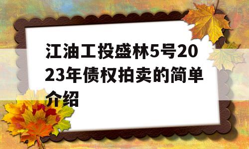 江油工投盛林5号2023年债权拍卖的简单介绍