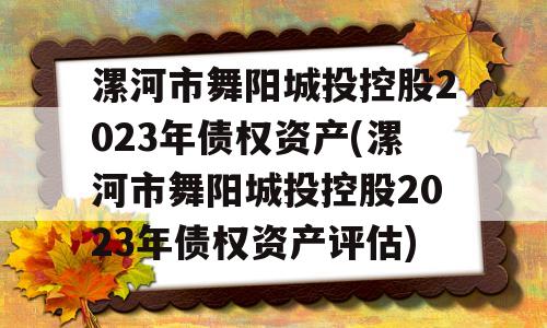 漯河市舞阳城投控股2023年债权资产(漯河市舞阳城投控股2023年债权资产评估)