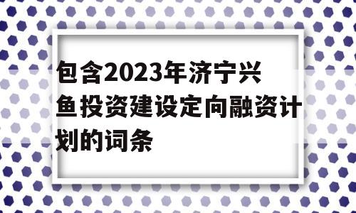 包含2023年济宁兴鱼投资建设定向融资计划的词条