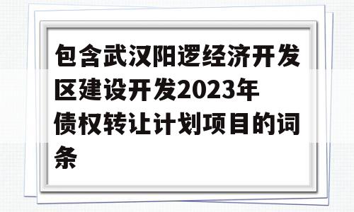 包含武汉阳逻经济开发区建设开发2023年债权转让计划项目的词条