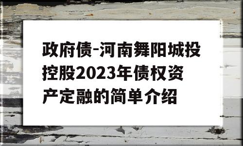 政府债-河南舞阳城投控股2023年债权资产定融的简单介绍