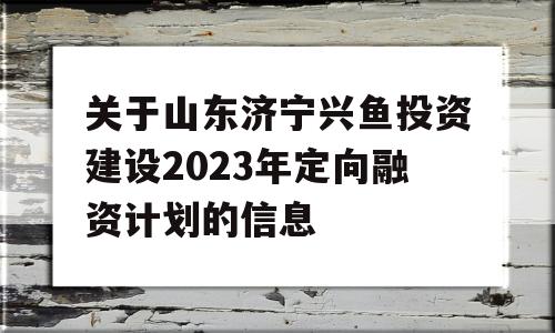 关于山东济宁兴鱼投资建设2023年定向融资计划的信息