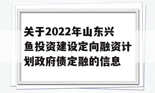 关于2022年山东兴鱼投资建设定向融资计划政府债定融的信息