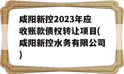 咸阳新控2023年应收账款债权转让项目(咸阳新控水务有限公司)