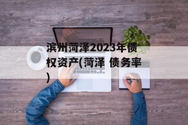 滨州菏泽2023年债权资产(菏泽 债务率)