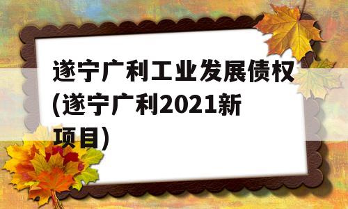 遂宁广利工业发展债权(遂宁广利2021新项目)