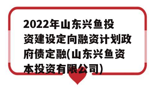 2022年山东兴鱼投资建设定向融资计划政府债定融(山东兴鱼资本投资有限公司)