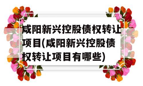 咸阳新兴控股债权转让项目(咸阳新兴控股债权转让项目有哪些)