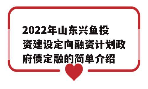 2022年山东兴鱼投资建设定向融资计划政府债定融的简单介绍