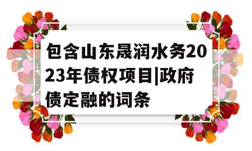 包含山东晟润水务2023年债权项目|政府债定融的词条