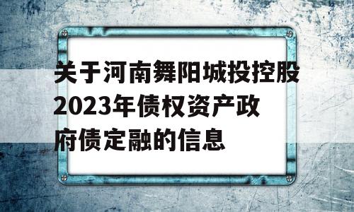 关于河南舞阳城投控股2023年债权资产政府债定融的信息