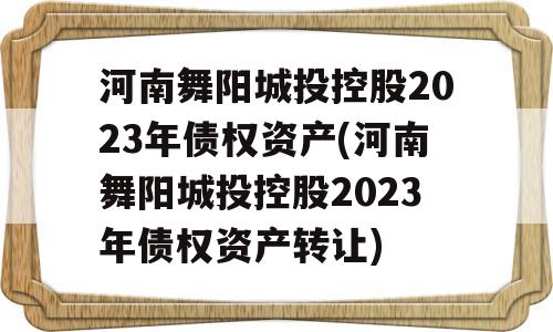 河南舞阳城投控股2023年债权资产(河南舞阳城投控股2023年债权资产转让)