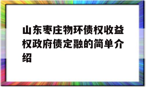 山东枣庄物环债权收益权政府债定融的简单介绍