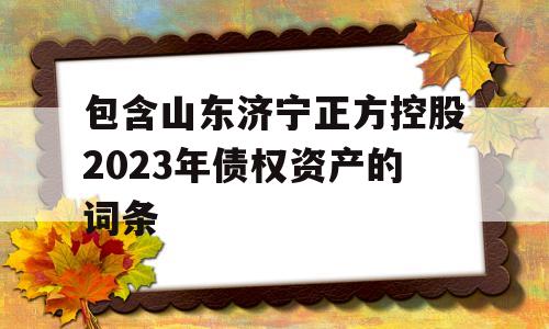 包含山东济宁正方控股2023年债权资产的词条