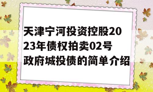 天津宁河投资控股2023年债权拍卖02号政府城投债的简单介绍