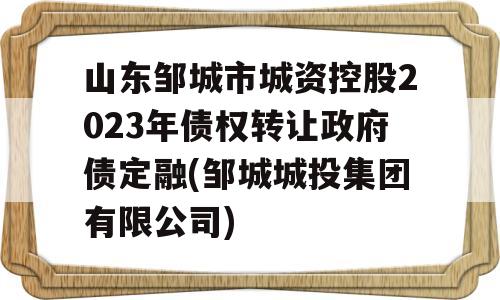 山东邹城市城资控股2023年债权转让政府债定融(邹城城投集团有限公司)