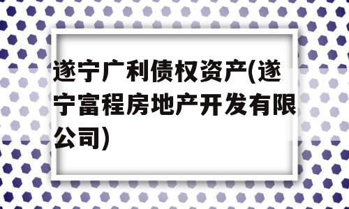 遂宁广利债权资产(遂宁富程房地产开发有限公司)