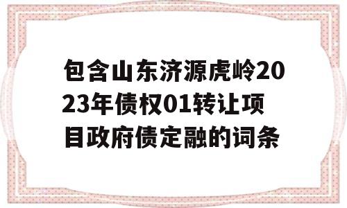 包含山东济源虎岭2023年债权01转让项目政府债定融的词条