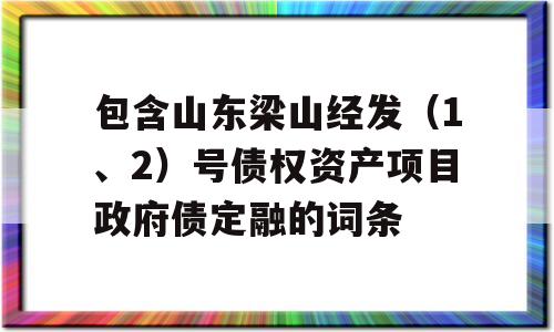 包含山东梁山经发（1、2）号债权资产项目政府债定融的词条