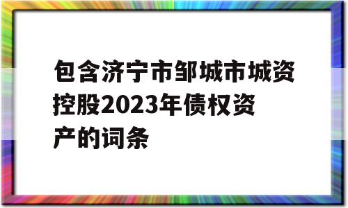 包含济宁市邹城市城资控股2023年债权资产的词条