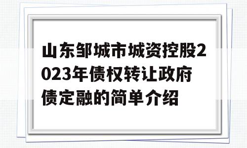 山东邹城市城资控股2023年债权转让政府债定融的简单介绍