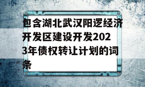 包含湖北武汉阳逻经济开发区建设开发2023年债权转让计划的词条