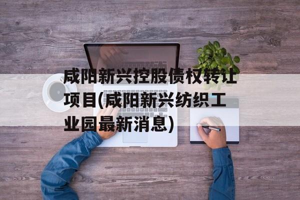 咸阳新兴控股债权转让项目(咸阳新兴纺织工业园最新消息)