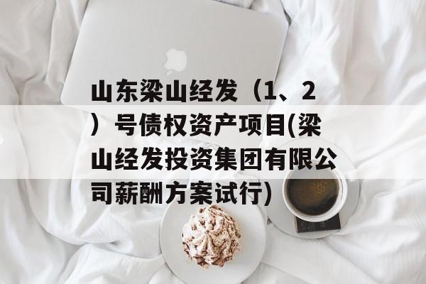 山东梁山经发（1、2）号债权资产项目(梁山经发投资集团有限公司薪酬方案试行)