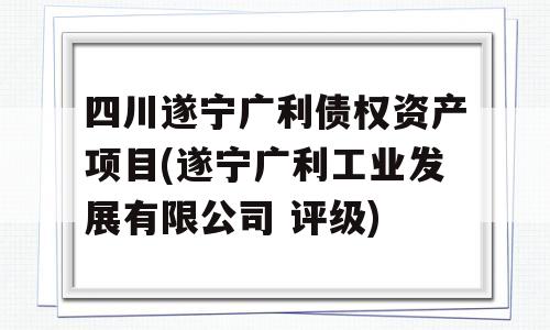 四川遂宁广利债权资产项目(遂宁广利工业发展有限公司 评级)