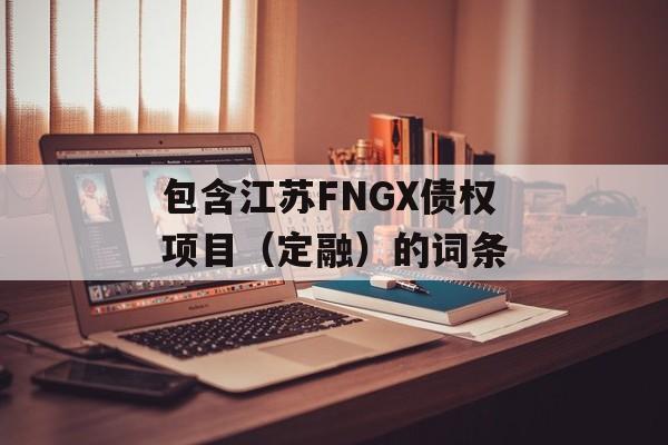 包含江苏FNGX债权项目（定融）的词条