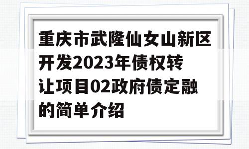 重庆市武隆仙女山新区开发2023年债权转让项目02政府债定融的简单介绍