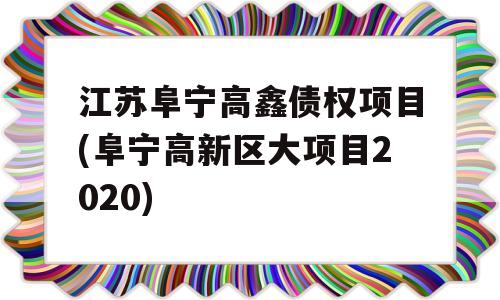 江苏阜宁高鑫债权项目(阜宁高新区大项目2020)