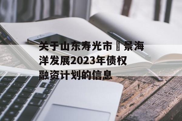 关于山东寿光市昇景海洋发展2023年债权融资计划的信息