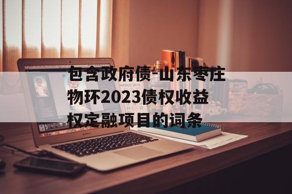 包含政府债-山东枣庄物环2023债权收益权定融项目的词条