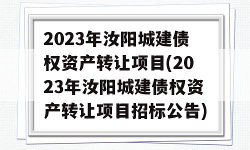 2023年汝阳城建债权资产转让项目(2023年汝阳城建债权资产转让项目招标公告)