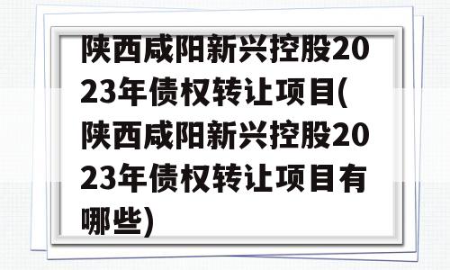 陕西咸阳新兴控股2023年债权转让项目(陕西咸阳新兴控股2023年债权转让项目有哪些)